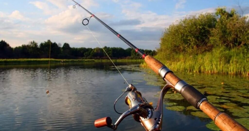Fishing Rod