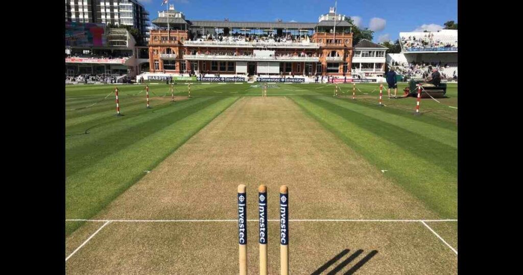 Half a Cricket Pitch