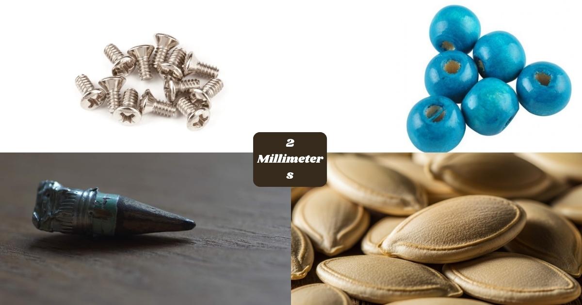 Things That Are 2 mm Long