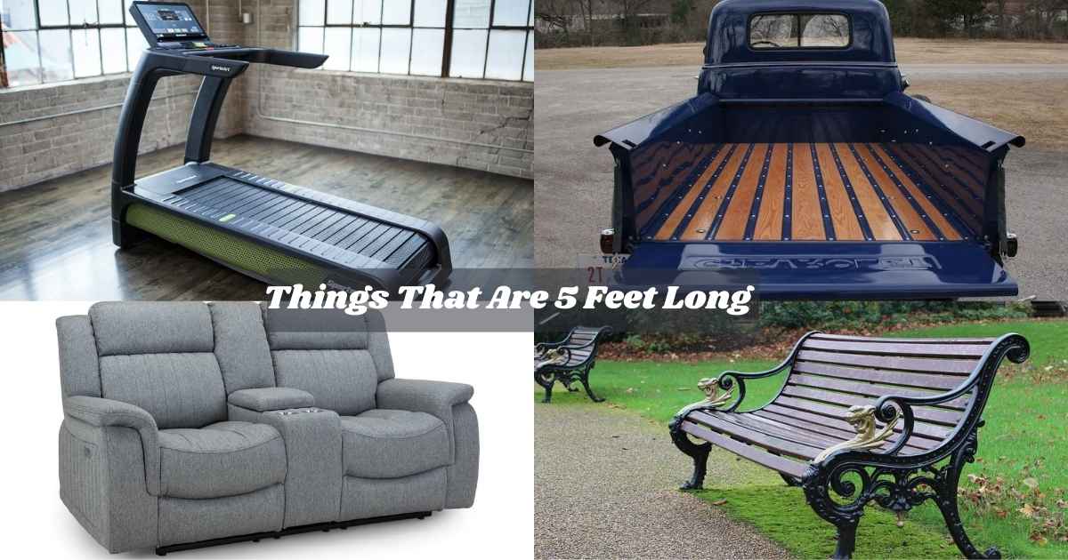 Things That Are 5 Feet Long