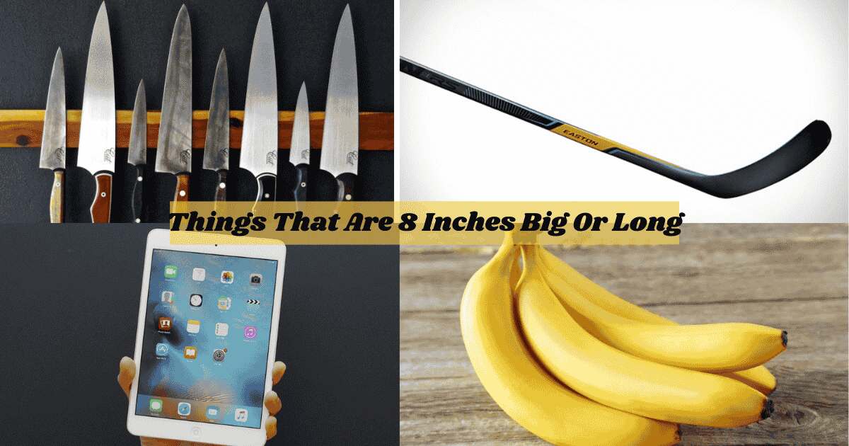Things That Are 8 Inches Big Or Long