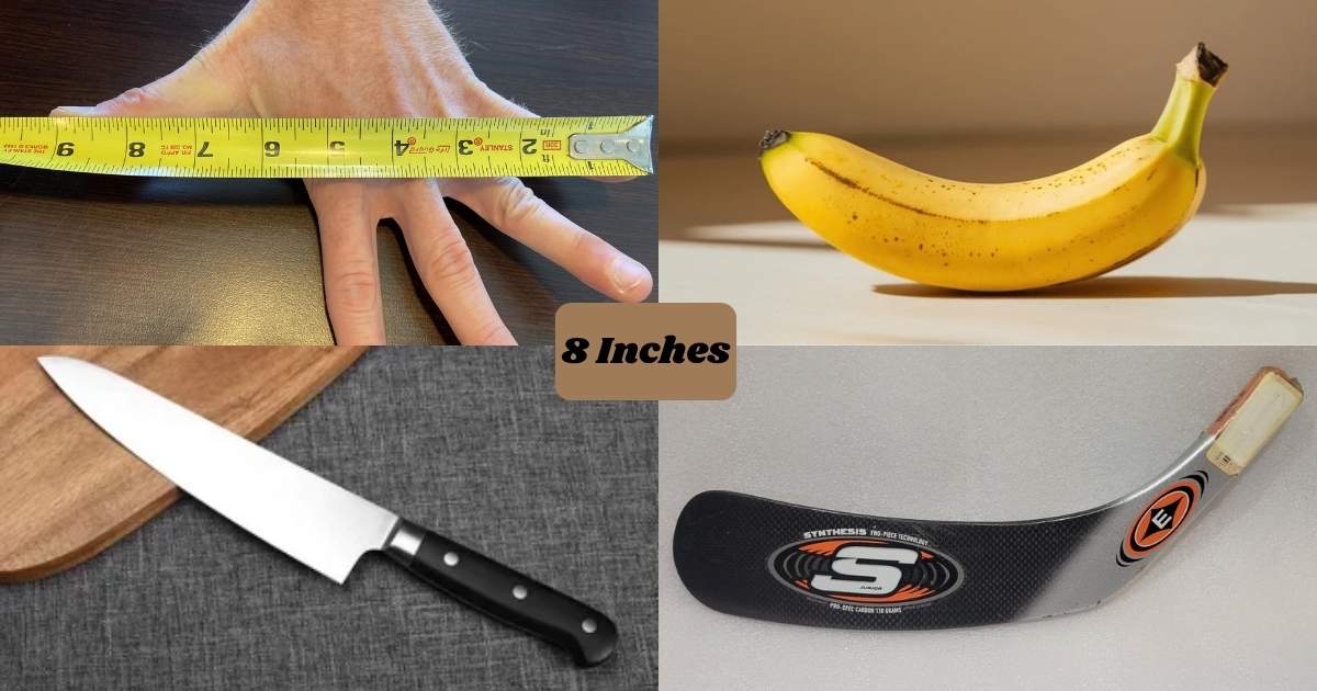 Things That Are 8 Inches Big