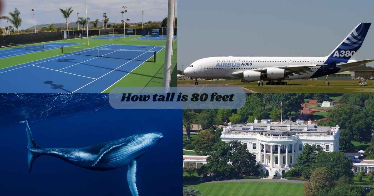 Things That Are Approximately 80 Feet Tall