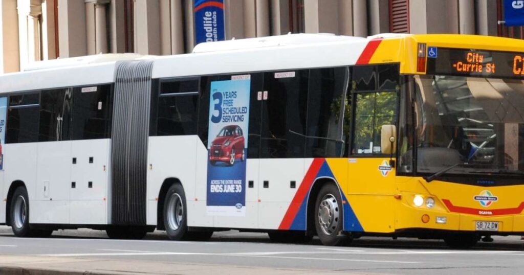 Two Standard City Buses End-to-End