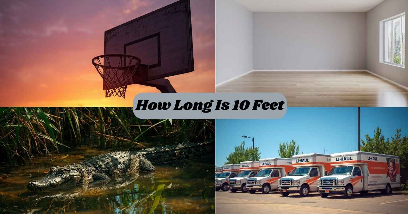 How Long Is 10 Feet? 14 Common Things