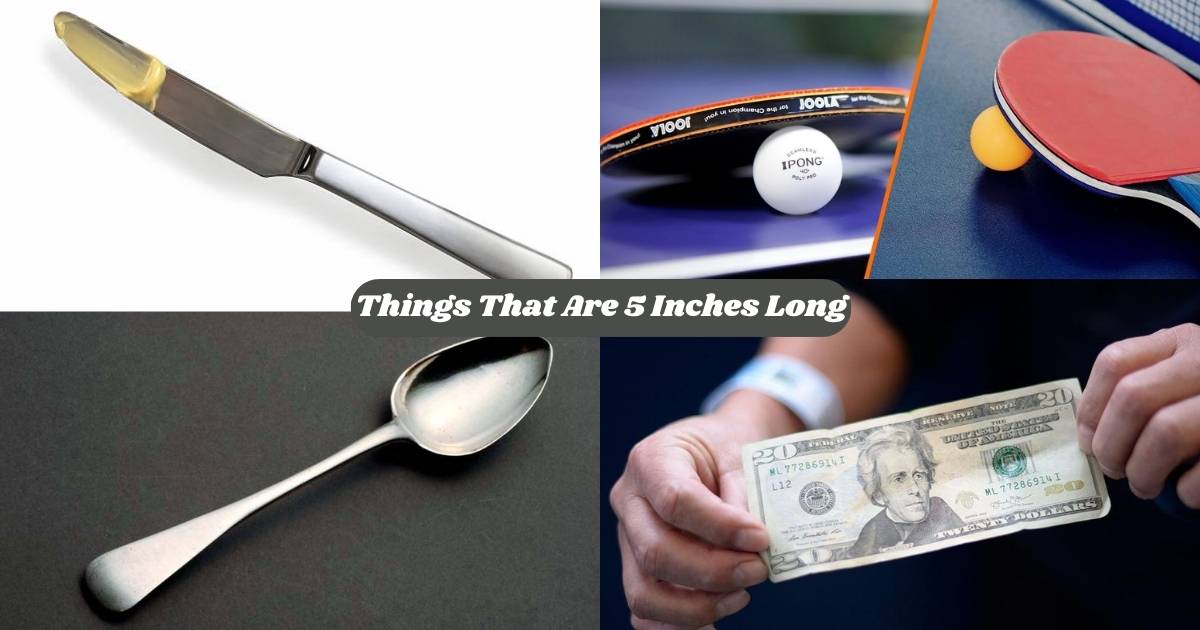 16 Common Things That Are 5 Inches Long