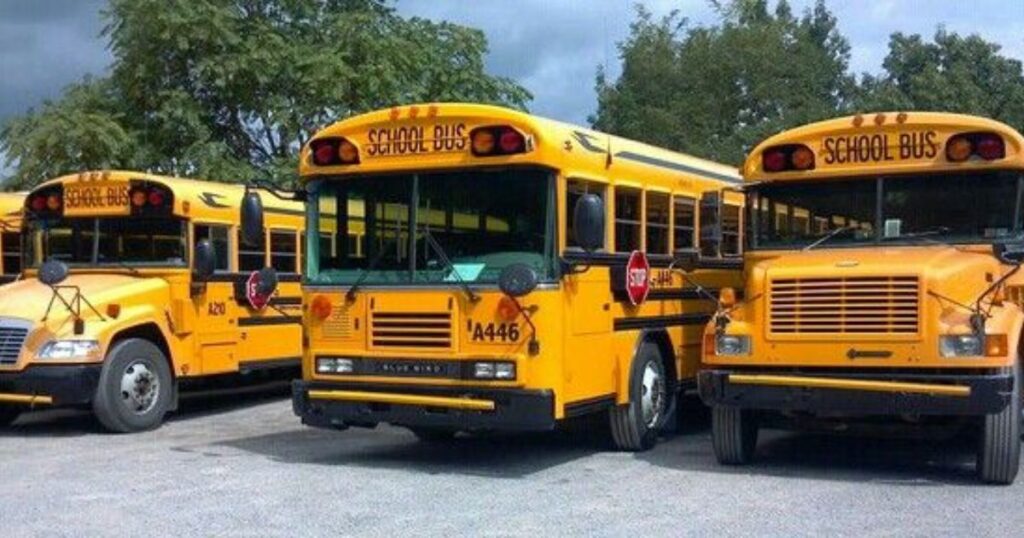 Four School Buses 