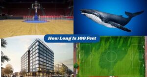 How Long Is 100 Feet : 14 Common Things