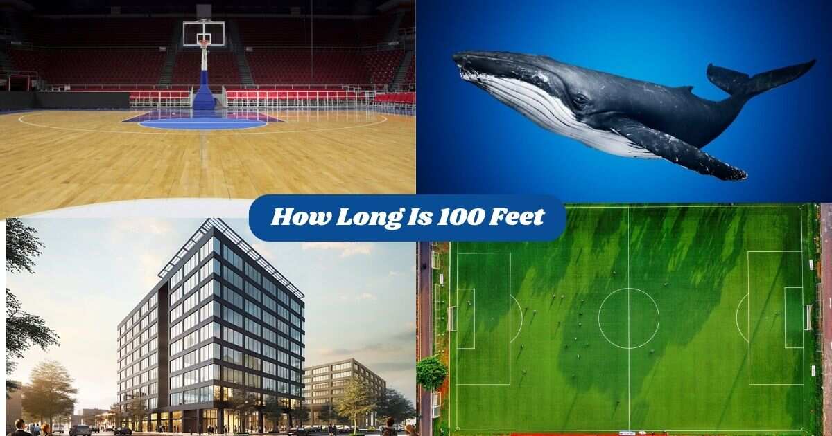 How Long Is 100 Feet : 14 Common Things