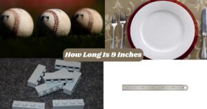 How Long Is 9 Inches? 15 Common Things That Are 9 Inches Long Or Big