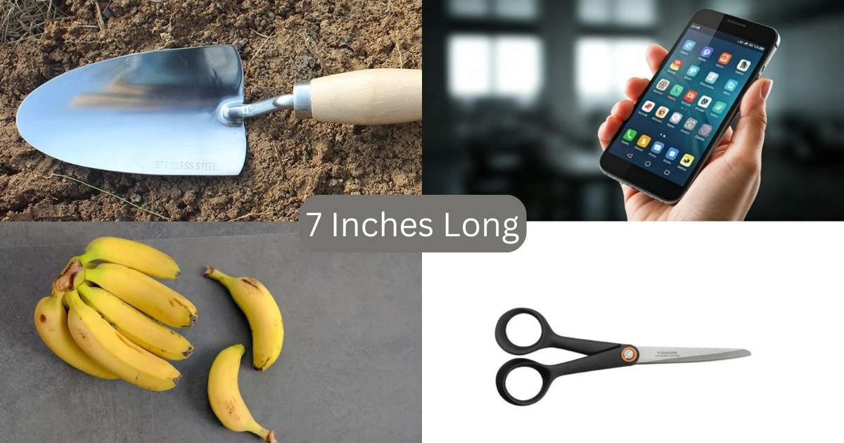 15 Common Things That Are 7 Inches Long  or Big