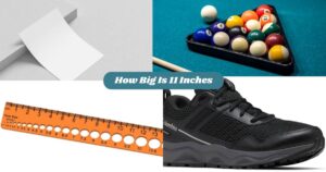 How Big Is 11 Inches? 14 Real-Life Examples You Can Compare