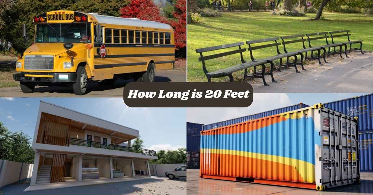 How Long is 20 Feet? 15 Things That Are 20 Feet Long or Big