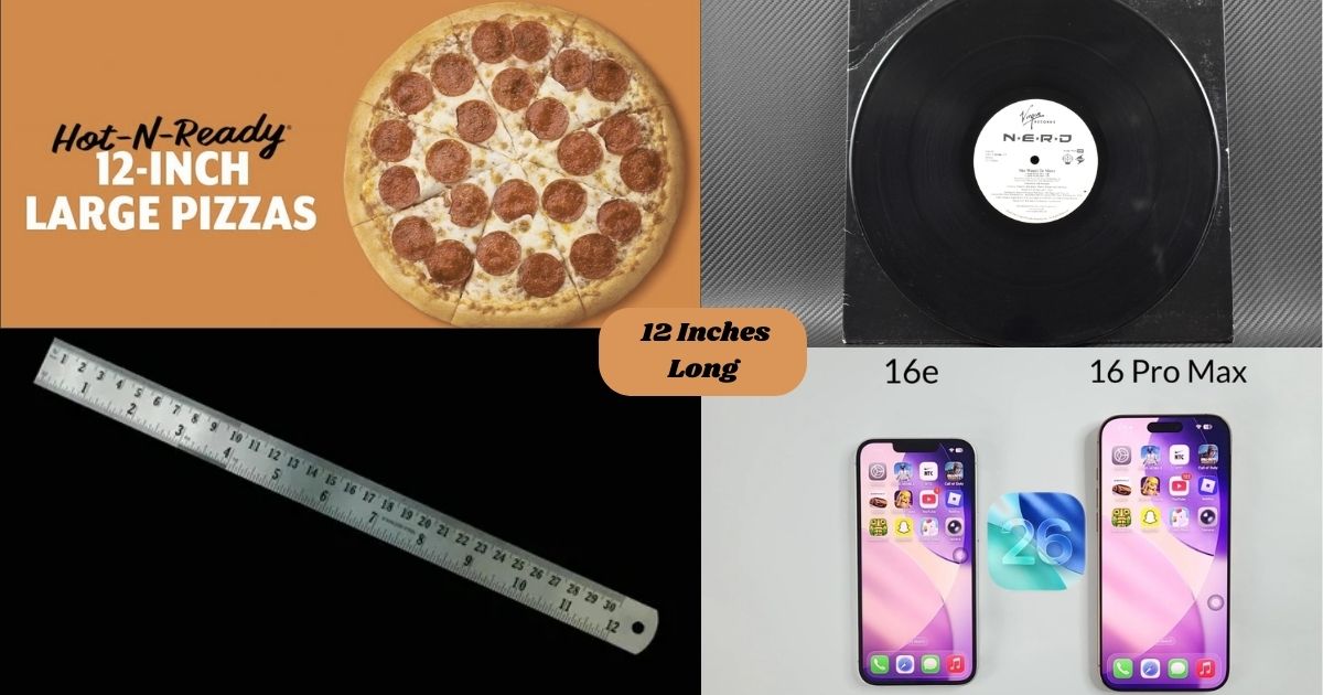 14 Common Things That Are 12 Inches Long or Big