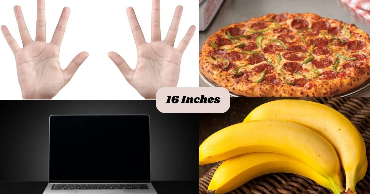 12 Common Things That Are About 16 Inches Long & Big