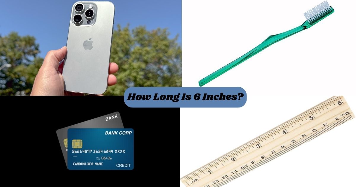 15 Common Things That Are 6 Inches Long Or Big  