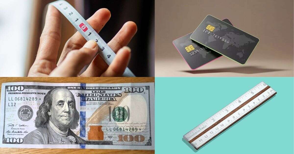 15 Common Things That Are 6 Inches Long Or Big  