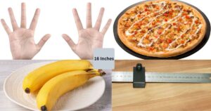 12 Common Things That Are About 16 Inches Long & Big
