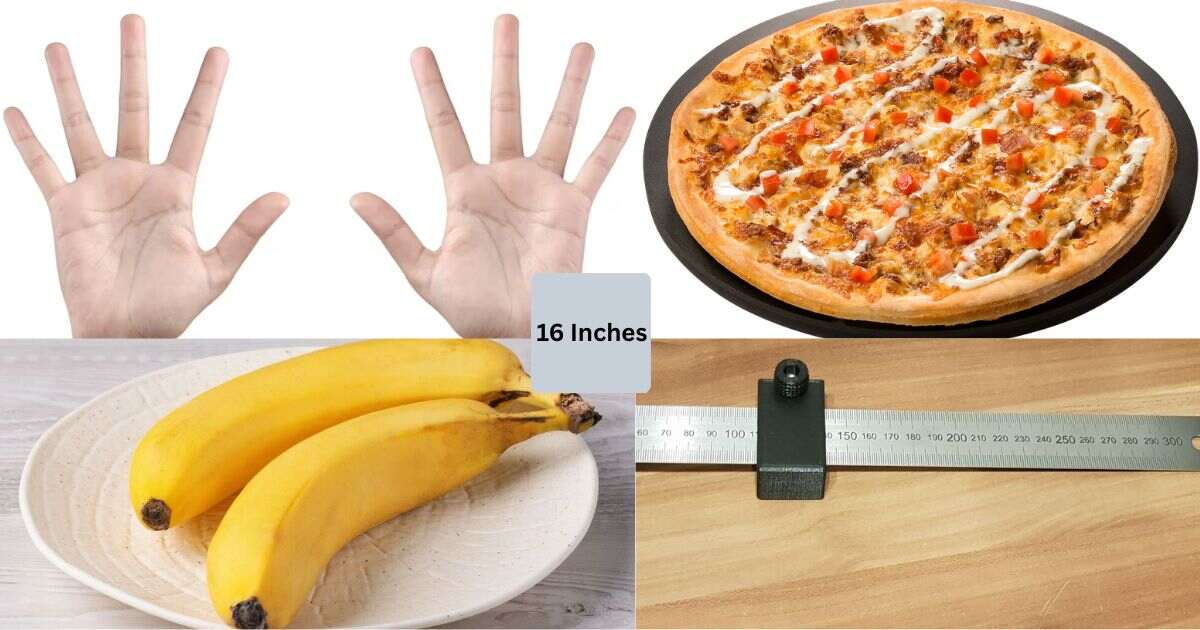 12 Common Things That Are About 16 Inches Long & Big