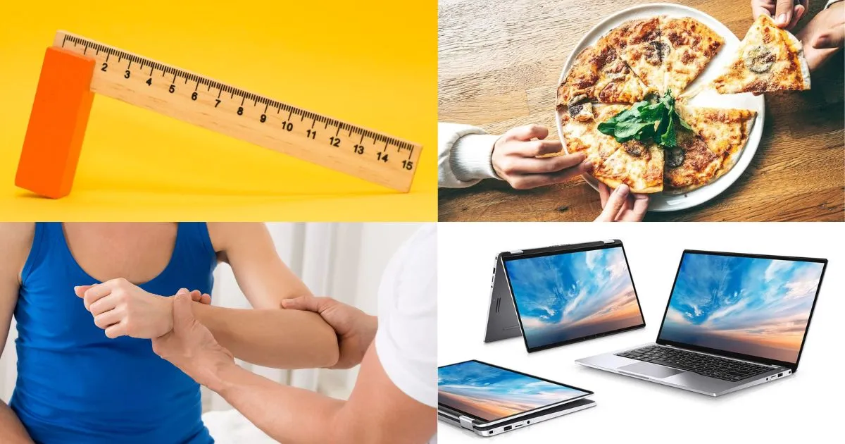 14 Common Things That Are 12 Inches Long or Big