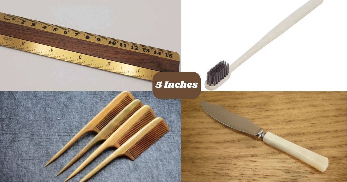 14 Common Things That Are 5 Inches Long