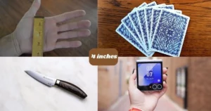15 Common Things That Are 4 Inches Long or Big