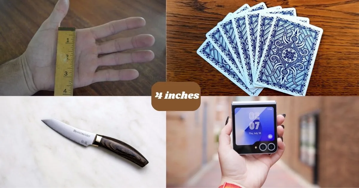 15 Common Things That Are 4 Inches Long or Big