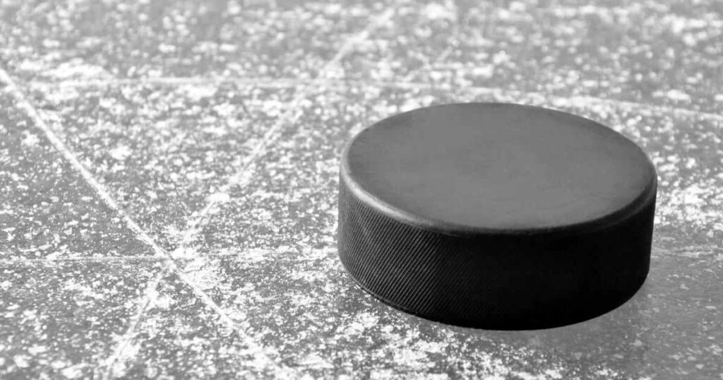 Hockey Puck