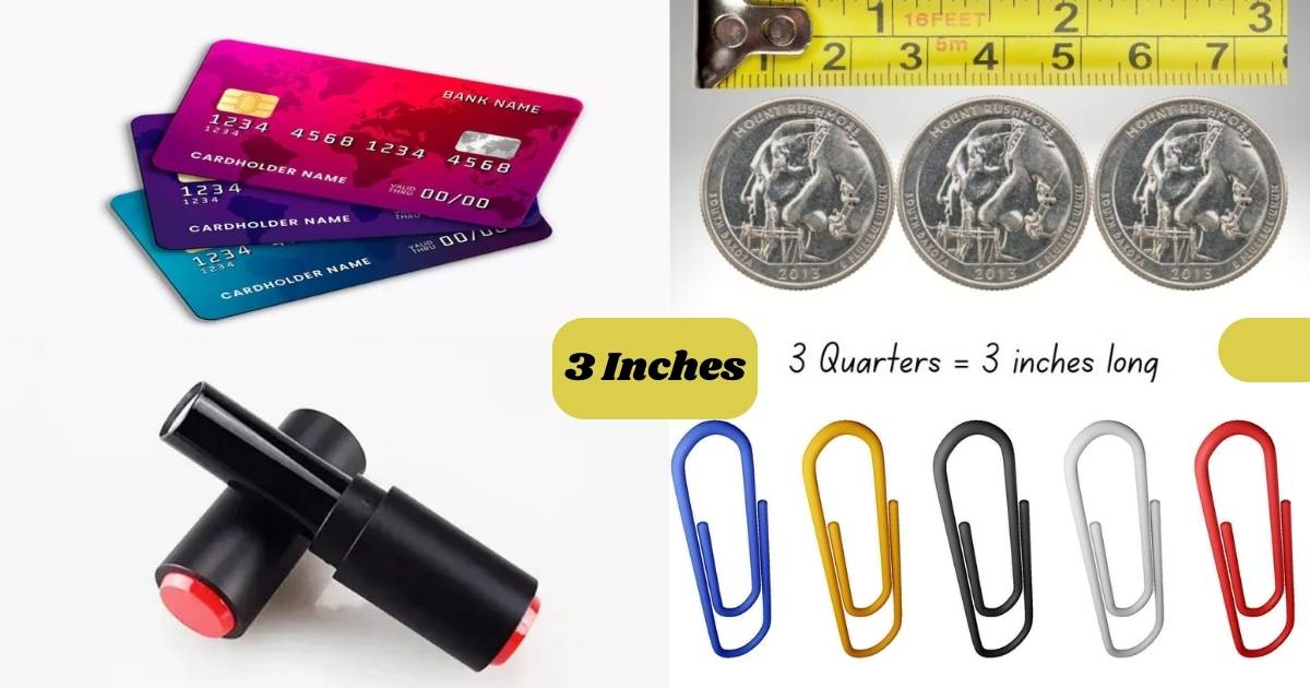 How Big Is 3 Inches? Easy Visual Examples & Measurement Guide