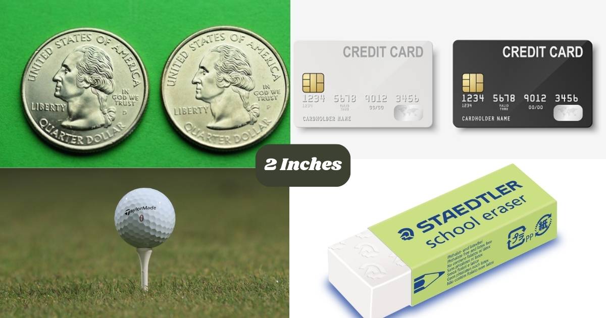 How Long Is 2 Inches: 17 Common Things That Are 2 Inches Long