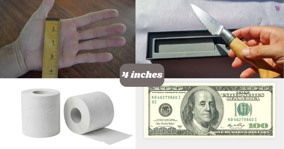 15 Common Things That Are 4 Inches Long or Big