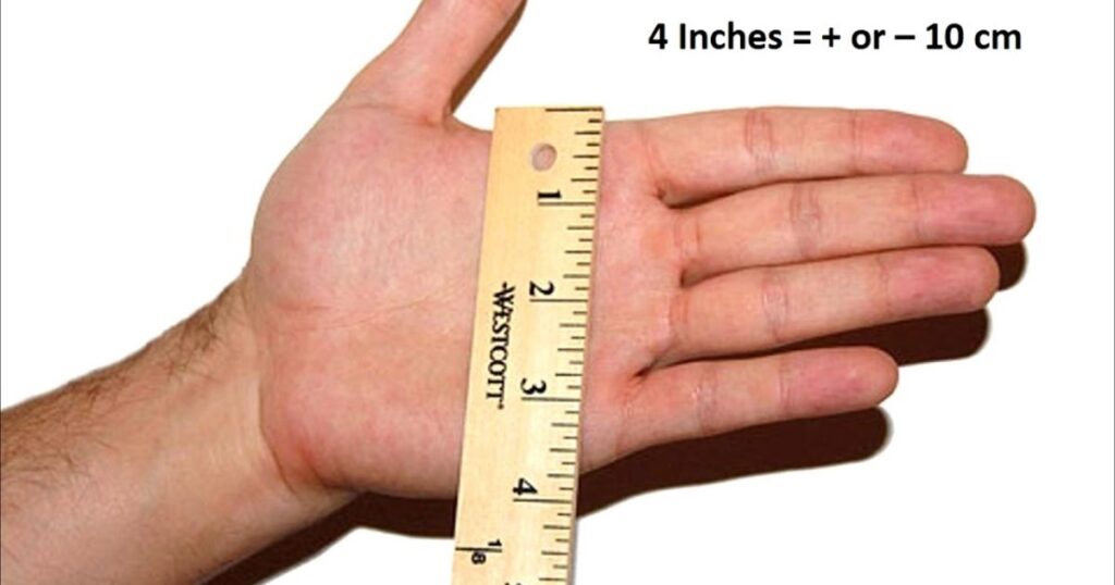 Width of an Adult Hand