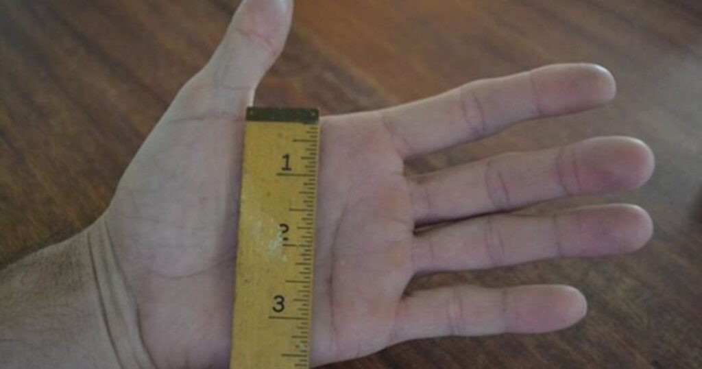 Adult Hand Width
