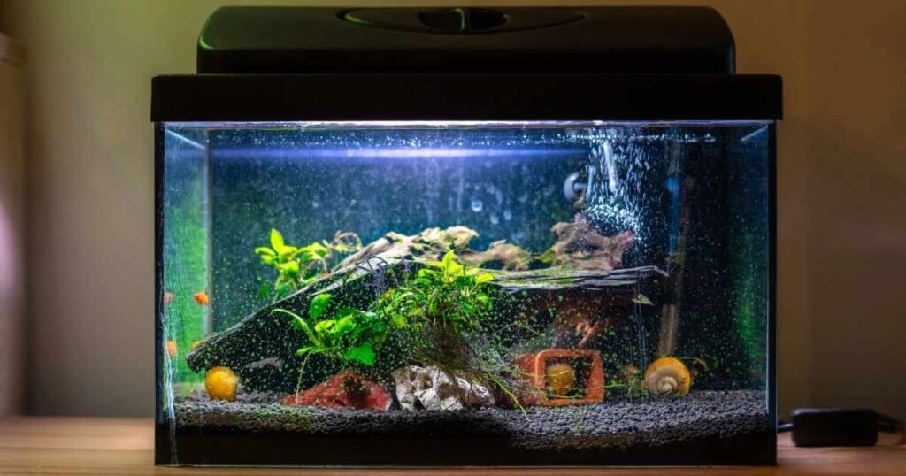 Aquarium Length (Small Tank)