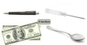 How Long Is 5 Inches? 15 Common Things That Are 5 Inches Long