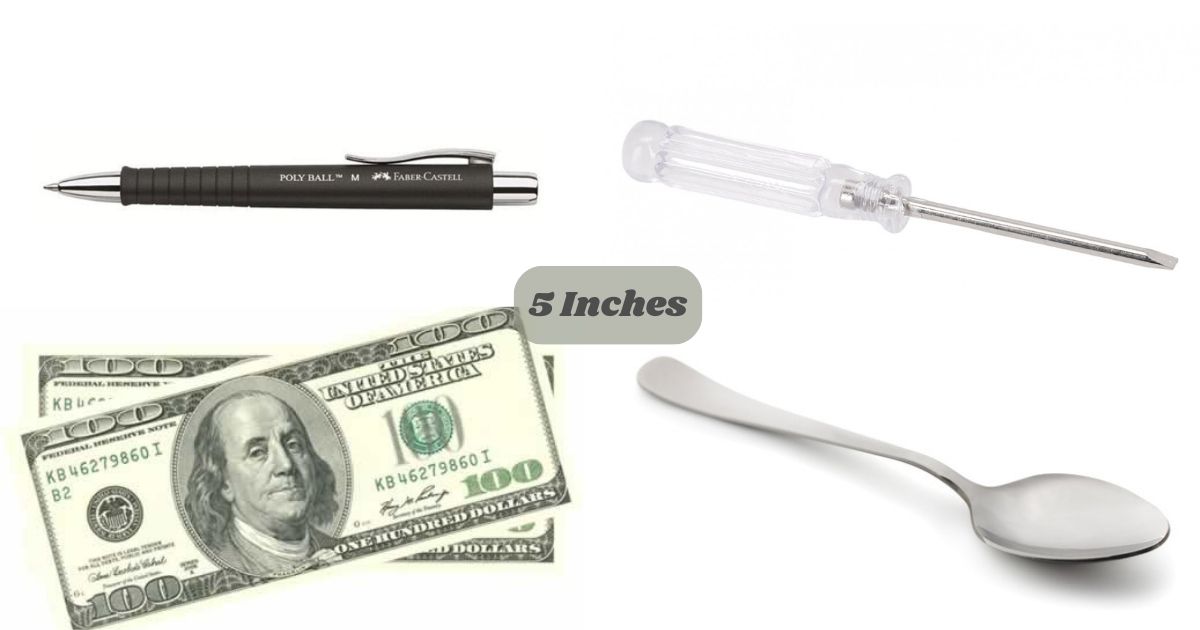 How Long Is 5 Inches? 15 Common Things That Are 5 Inches Long