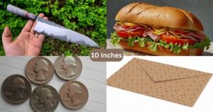 How Long Is 10 Inches? Things That Are 10 Inches Long