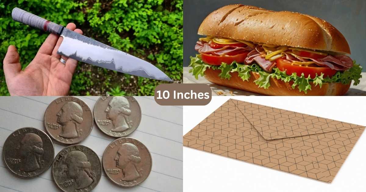 How Long Is 10 Inches? Things That Are 10 Inches Long