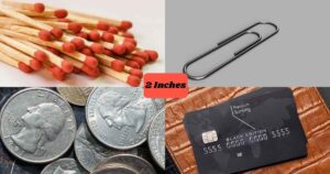 How Long Is 2 Inches: 17 Common Things That Are 2 Inches Long