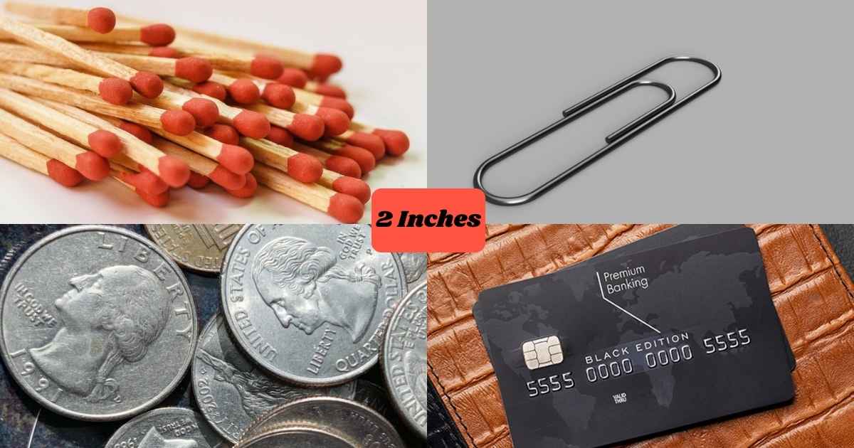 How Long Is 2 Inches: 17 Common Things That Are 2 Inches Long