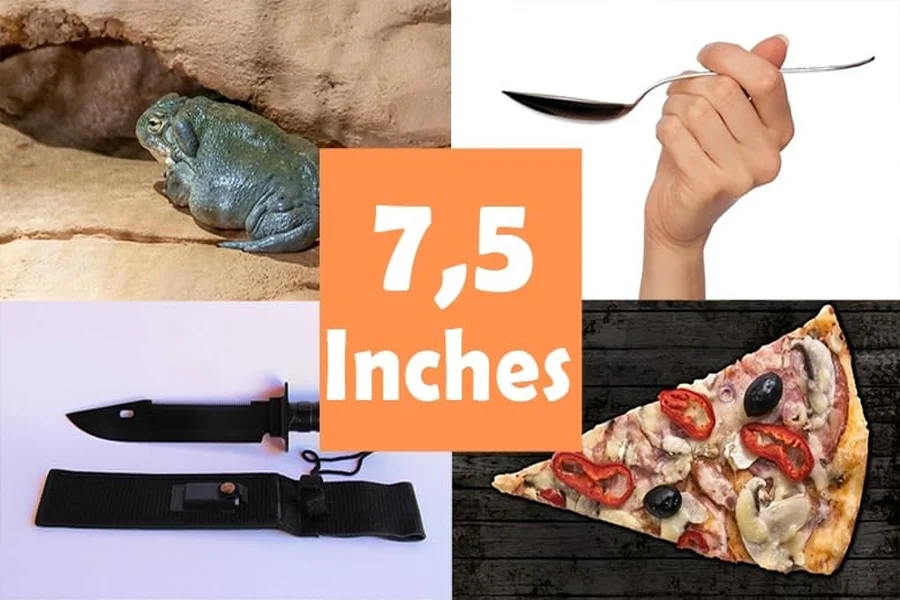 How long is 7.5 inches: Common things that are 7.5 inches long