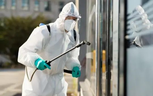 Pest Control Services