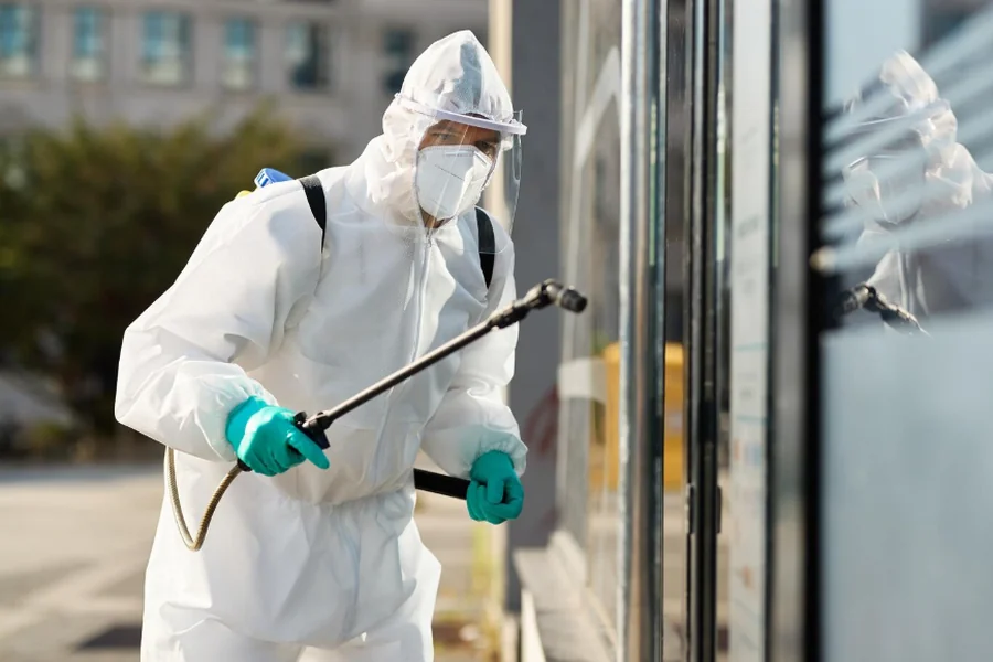 Pest Control Services